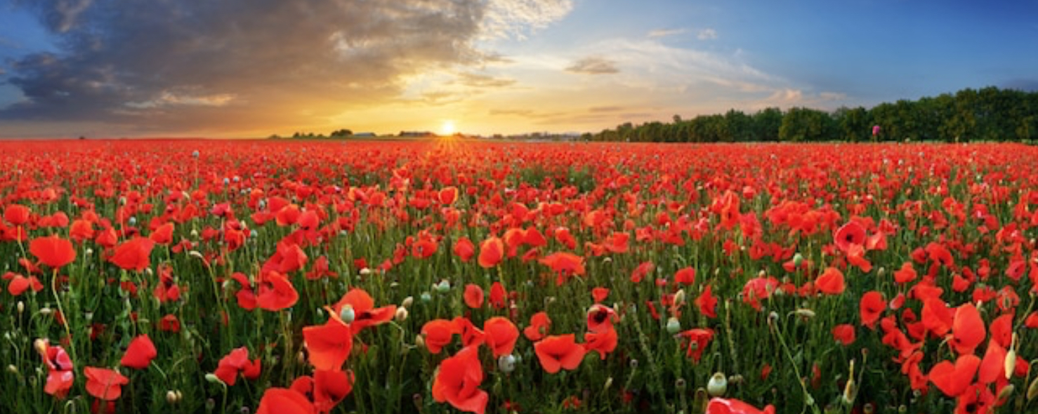 Alcohol and Emotions