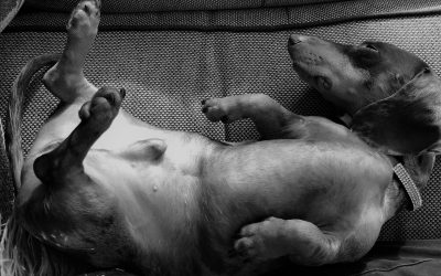 6 Tips to Improve Sleep Wellness: Alcohol not Required