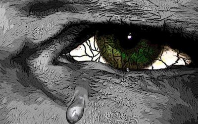 What is Personal Inventory and Why it is a Good Idea Whether You Are in AA (Step 4) or Not