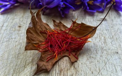 Guest Post: Six Health Benefits of Saffron, the ‘Persian Red Gold’